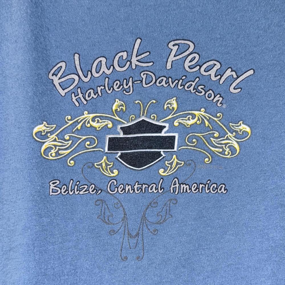 Harley Davidson V-Neck Black Pearl Belize Tee - Small - Picture 6 of 7